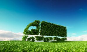15 Easy Ways To Become Environmentally Friendly