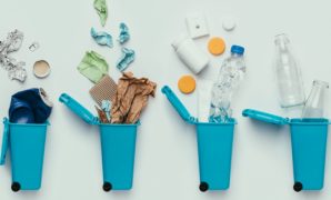 Become More Eco Friendly