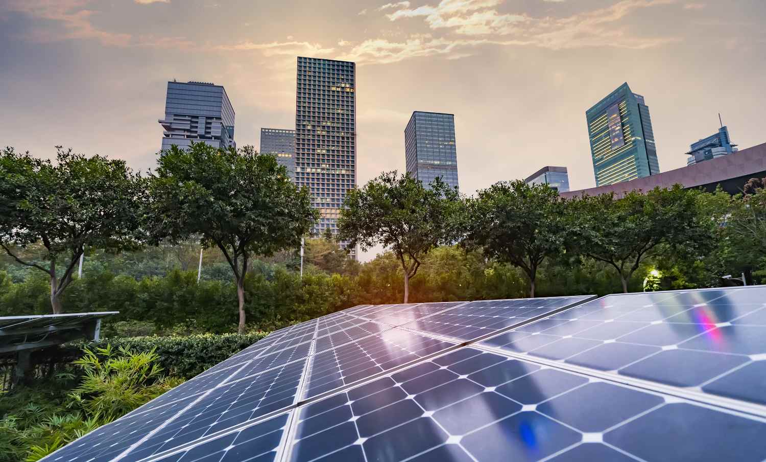 Community solar metro