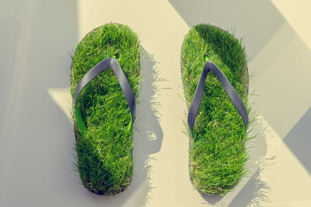 How To Reduce Your Carbon Footprint 10 Simple Tips