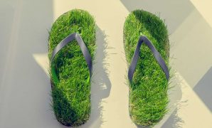 How To Reduce Your Carbon Footprint 10 Simple Tips