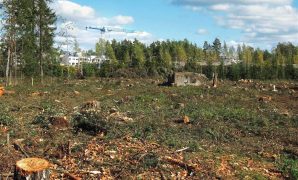 Deforestation Affect Climate Change