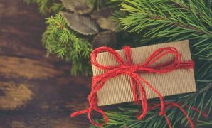 Image from Eco-Friendly Gifts for Giving Sustainably This Year