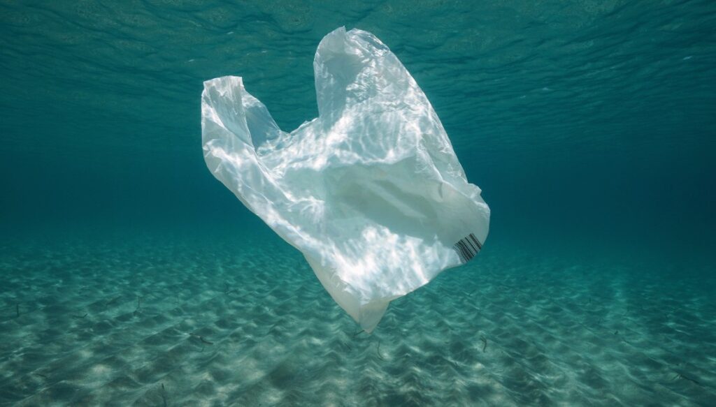 Plastic Bag