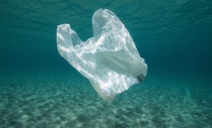 Plastic Bag