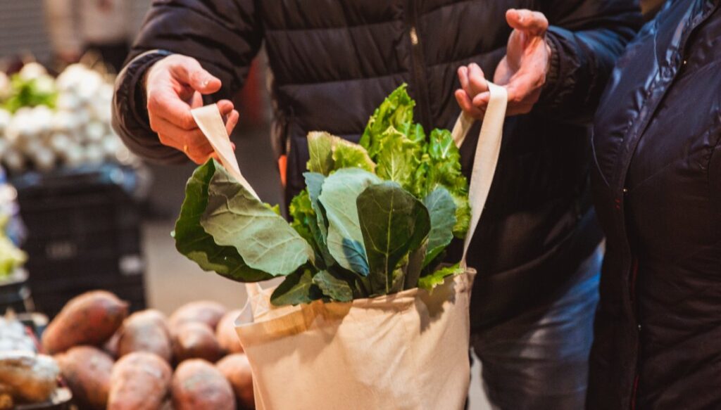 Reusable Bag Shopping
