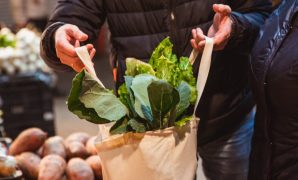 Reusable Bag Shopping