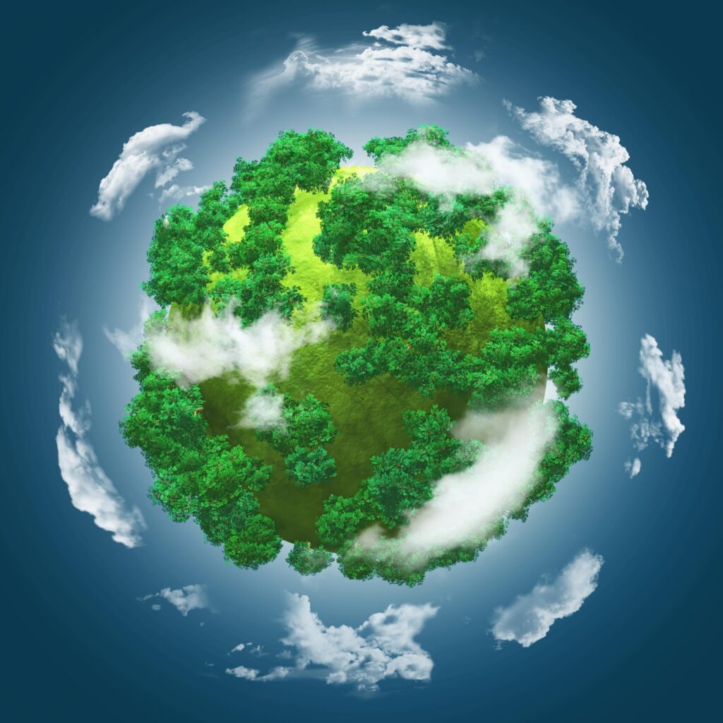 Sustainability in Action