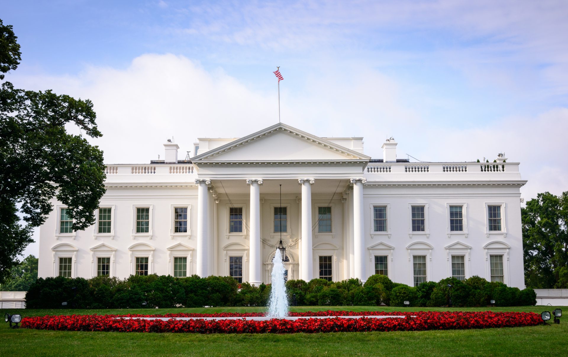 The white house