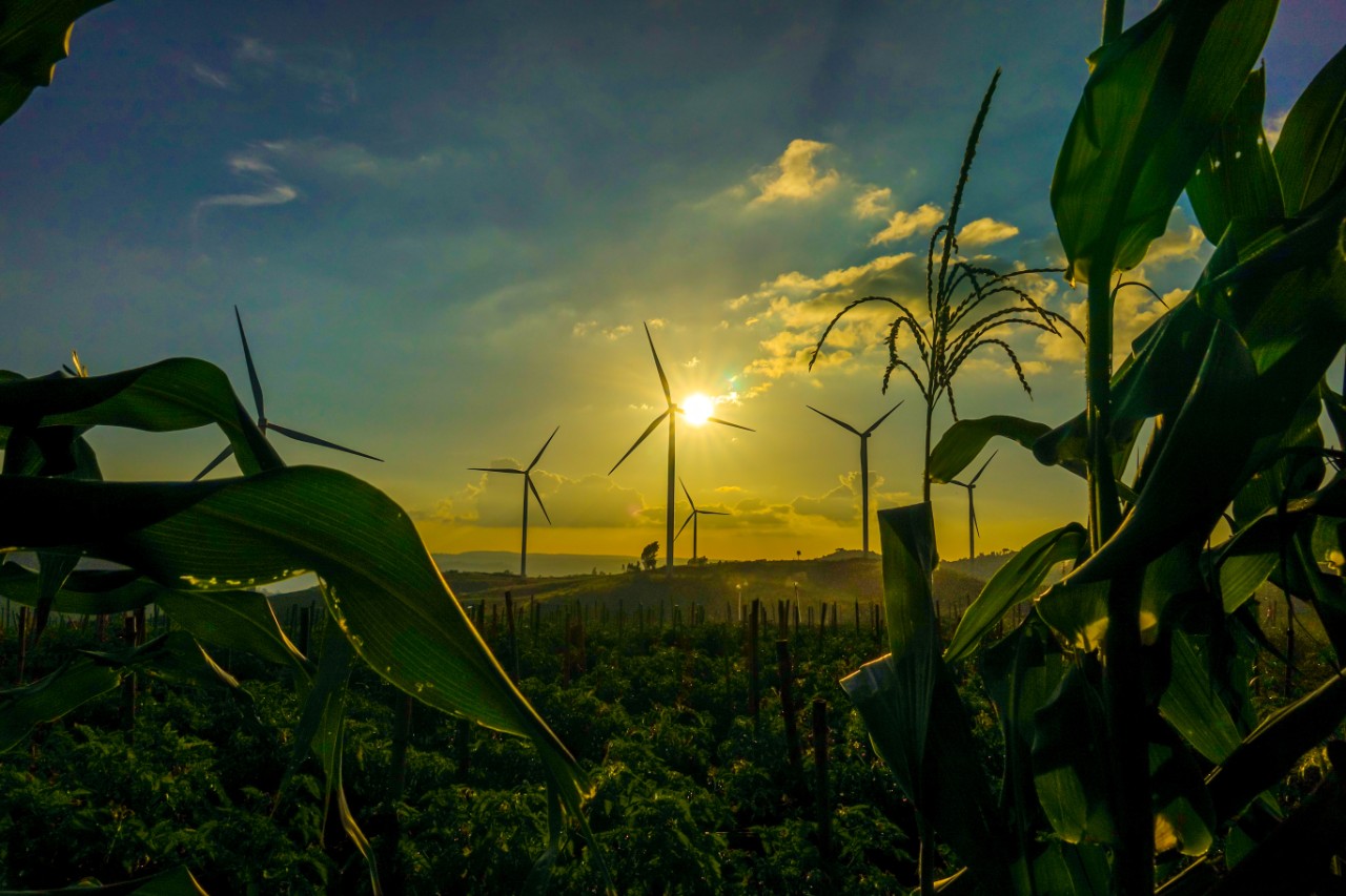 Wind turbines farm