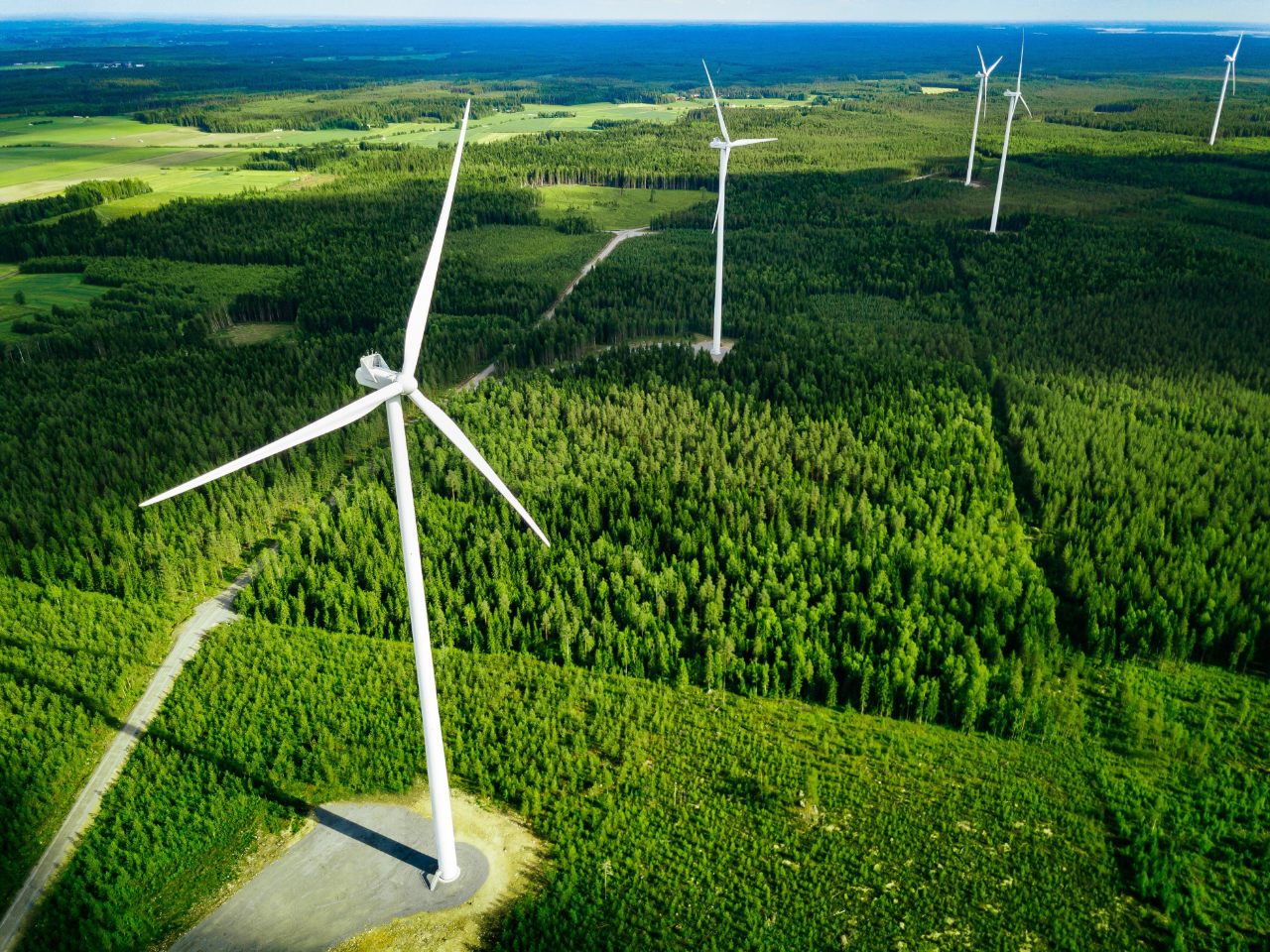 Wind turbines green field