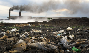 7 Reasons Why Plastic Bags Are So Bad for the Environment